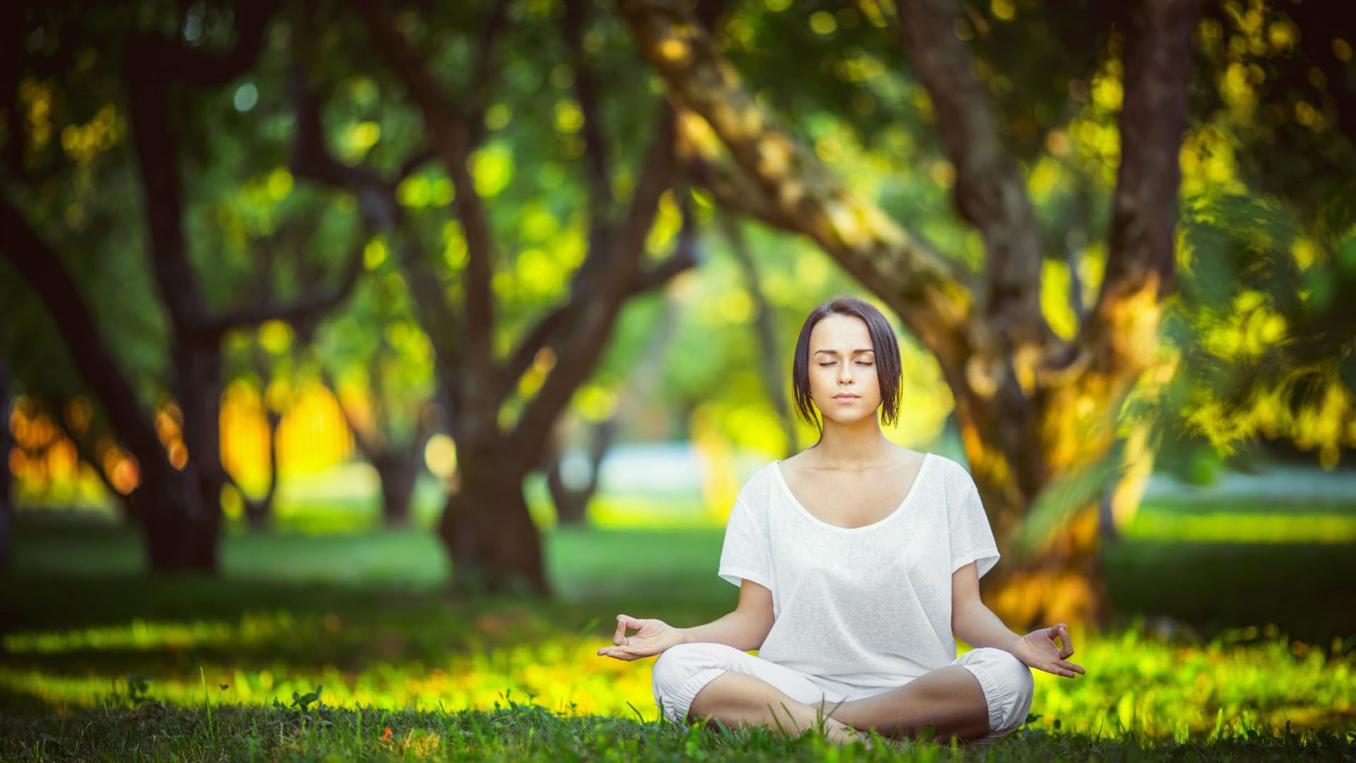 世界杯关键积分战焦点战,加拿大击败阿根廷,姆巴佩主导比赛
